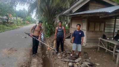 Dikomandoi Laoda Pemuda Dusun Jebu Laut Laksanakan Gotong Royong